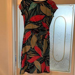 Jones New York Multi-Color Dress, Size 10